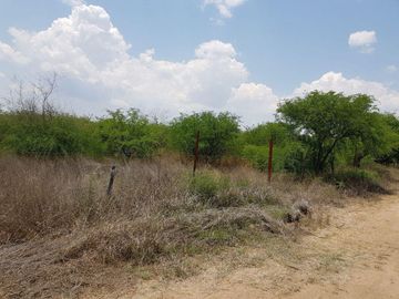 VENTA TERRENO GUANAJUATO SAN LUIS DE LA PAZ 124 HECTARIAS JAMAICA
