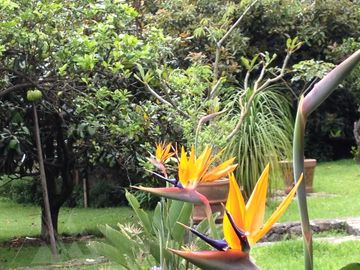 Casa  Venta - Pueblo Santa María Ahuacatitlán Cuernavaca Mor