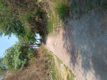 Venta Terreno  lago  de Tequesquitengo con salida al lago   Morelos