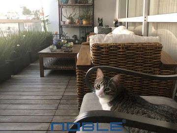 Departamento Venta Lomas del Pedregal, con Roof de 238.00m2.