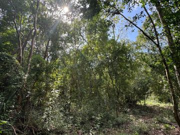 Terreno - Rancho o rancheria Popola