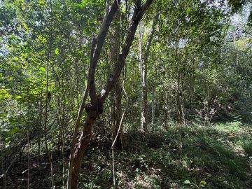 Terreno - Rancho o rancheria Popola