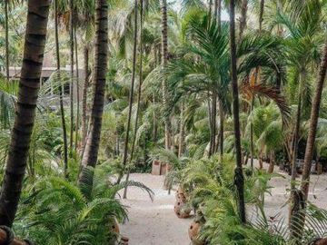 PreVenta Estudio PH en Tulum Esquina con Rooftop, Natural Pool, Fogata