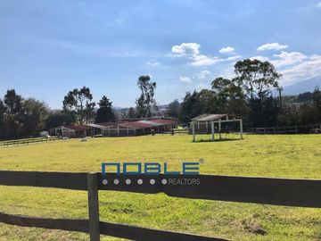 RANCHO EN VENTA EN ALMOLOYA DE JUÁREZ.