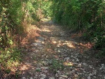 Venta Rancho a Orilla de Carretera en Dzilam Gonzalez Yucatan