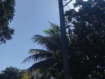 Venta Rancho a Orilla de Carretera en Dzilam Gonzalez Yucatan