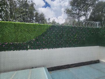 Casa en Venta Fraccionamiento El olivar Altozano
