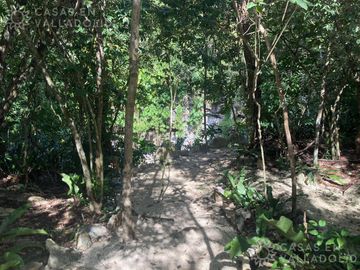 Terrenos con acceso a cenotes y caverna