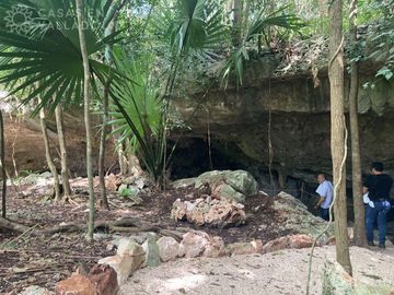 Terrenos con acceso a cenotes y caverna