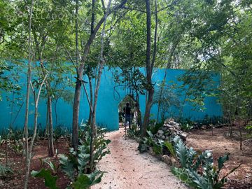 Terrenos con acceso a cenotes y caverna