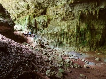 Terrenos con acceso a cenotes y caverna