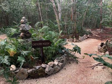 Terrenos con acceso a cenotes y caverna