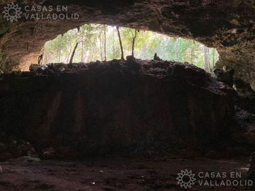Terrenos con acceso a cenotes y caverna