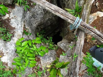 Terrenos con acceso a cenotes y caverna