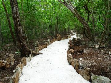 Terrenos con acceso a cenotes y caverna