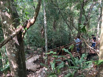 Terrenos con acceso a cenotes y caverna