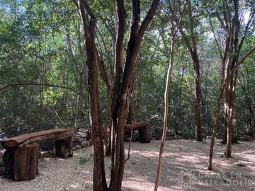 Terrenos con acceso a cenotes y caverna