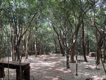 Terrenos con acceso a cenotes y caverna