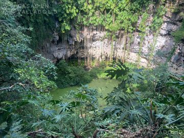Terrenos con acceso a cenotes y caverna
