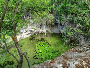 Terrenos con acceso a cenotes y caverna