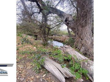 TERRENO EN VENTA EN PESQUERIA