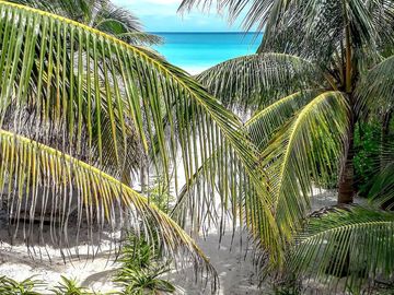 Casa Frente al Mar en Las Hermosas Playas de El Cuyo, Yucatán