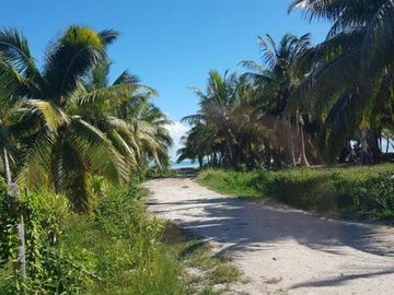 Bahia lagartos