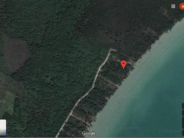 Bahia lagartos