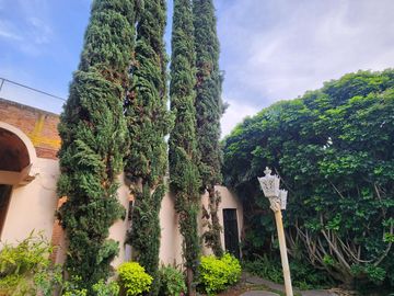Casa en Venta en Chapultepec Norte