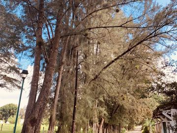 Terreno en Venta en Xalapa, Fraccionamiento Manantial Lote 8
