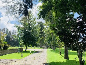 Terreno en Venta en Xalapa, Fraccionamiento Manantial Lote 8