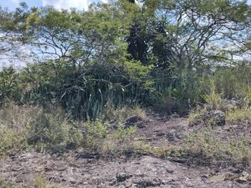 Terreno en  Terreno en venta en El Chico municipio de Emiliano Zapata