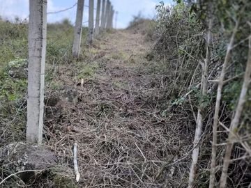 Terreno en  Terreno en venta en El Chico municipio de Emiliano Zapata