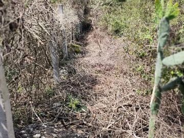 Terreno en  Terreno en venta en El Chico municipio de Emiliano Zapata
