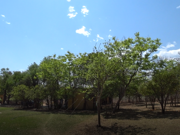 QUINTA EN VENTA BOSQUES DE LA SILLA
