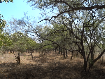 QUINTA EN VENTA BOSQUES DE LA SILLA