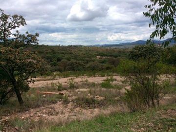 Terreno en Venta, La Herradura, Dolores Hidalgo