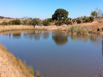 Terreno en Venta, La Herradura, Dolores Hidalgo