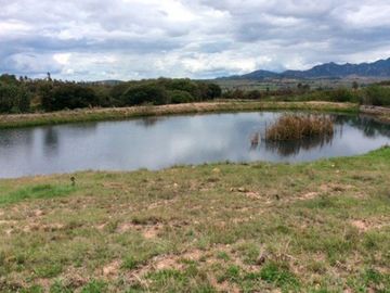 Terreno en Venta, La Herradura, Dolores Hidalgo