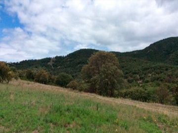 Terreno en Venta, La Herradura, Dolores Hidalgo