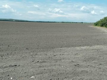 VENTA DE RANCHO PARA CULTIVO EN LA MORITA TAMAULIPAS