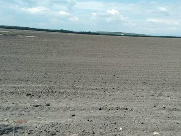 VENTA DE RANCHO PARA CULTIVO EN LA MORITA TAMAULIPAS