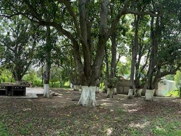 QUINTA EN VENTA COL. LINDAVISTA PUEBLO VIEJO VERACRUZ
