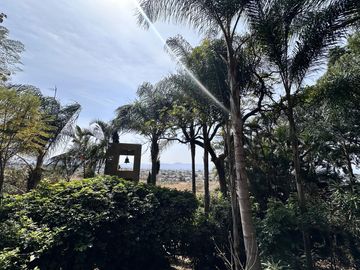 Casa en Fraccionamiento Los Limoneros