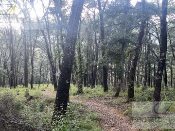 TERRENO EN VENTA, RANCHO DEL BOSQUE, OMITLA, HGO.