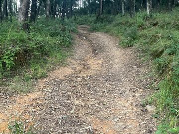 TERRENO EN VENTA, RANCHO DEL BOSQUE, OMITLA, HGO.