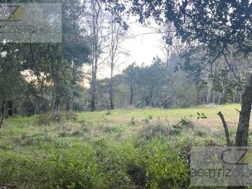 TERRENO EN VENTA, RANCHO DEL BOSQUE, OMITLA, HGO.