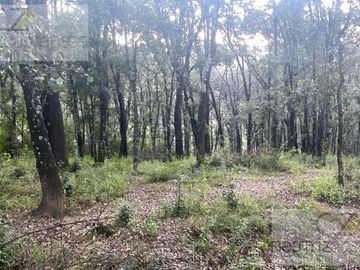 TERRENO EN VENTA, RANCHO DEL BOSQUE, OMITLA, HGO.