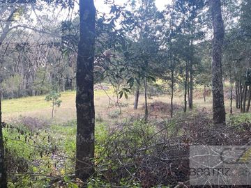 TERRENO EN VENTA, RANCHO DEL BOSQUE, OMITLA, HGO.