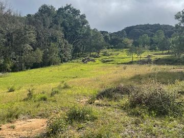 TERRENO EN VENTA, RANCHO DEL BOSQUE, OMITLA, HGO.